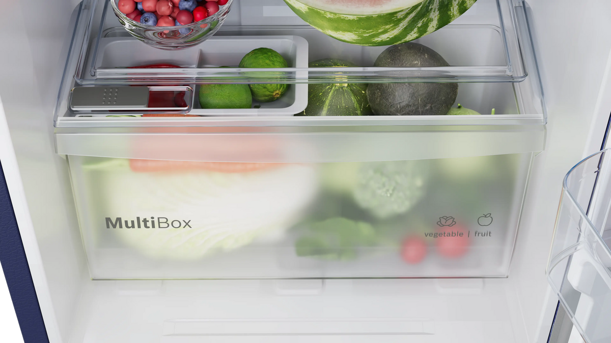 Bosch Series 2 Free-Standing Refrigerator COT18B22EI