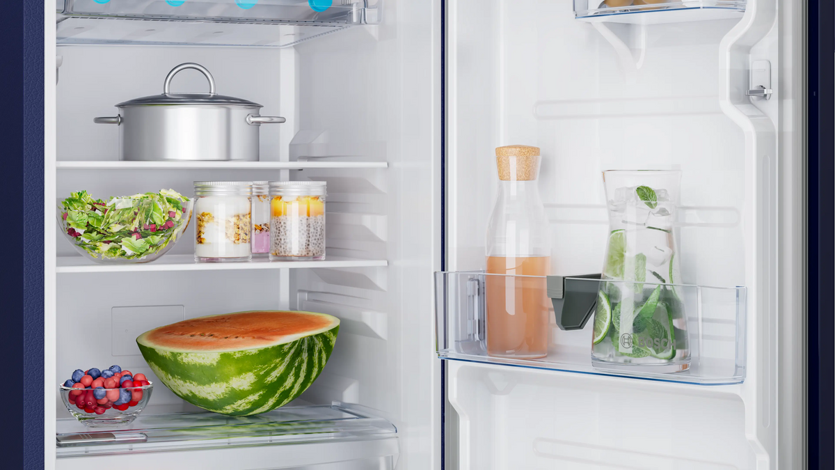 Bosch Series 2 Free-Standing Refrigerator COT18B22EI