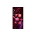 LG GL-B199OSTB 185L Single Door Refrigerator – Scarlet Tulip