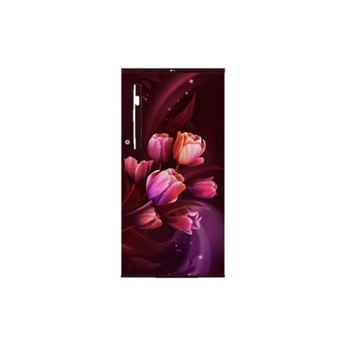 LG GL-B199OSTB 185L Single Door Refrigerator – Scarlet Tulip