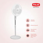 Polar Annexer R 400mm Pedestal Fan – Normal Speed, 3-Speed Control, 100% Copper Motor