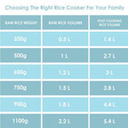 Panasonic SR-3NA(TSL) Automatic Rice Cooker – 0.3L (GREY)