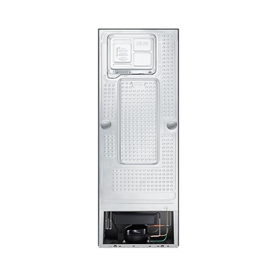 Samsung 236 L Frost-Free Digital-Inverter Double Door Refrigerator – Elegant Inox (RT28C3042S8/HL)