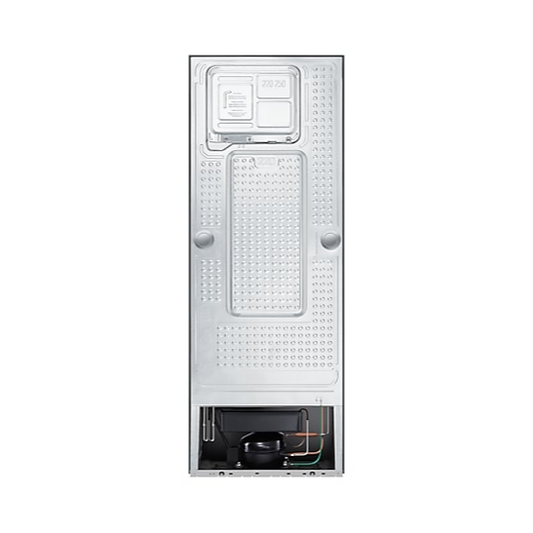 Samsung 236 L Frost-Free Digital-Inverter Double Door Refrigerator – Elegant Inox (RT28C3042S8/HL)