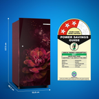 Bosch Series 4 Free-Standing Refrigerator CST18W23EI