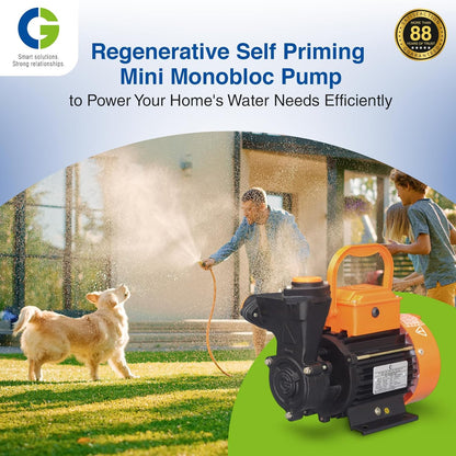 CG- CGDMM10MS miniSERGEANT-I | 0.75kW/1.0 HP | Regenerative Mini Monobloc Pump | Copper Motor | S S Shaft | Forged Brass Impeller | Overload Protection | 8.2 Grade Fastners | 1Yr Warranty