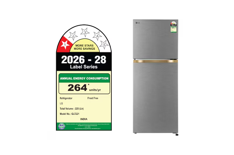LG 225L 1 Star Double Door Refrigerator GLT2216WYDS