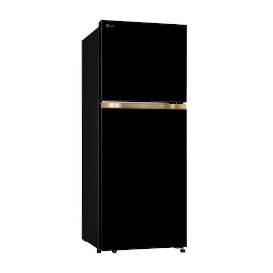LG 225L Double Door Refrigerator (GLT2216WYOB)