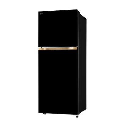 LG 225L Double Door Refrigerator (GLT2216WYOB)