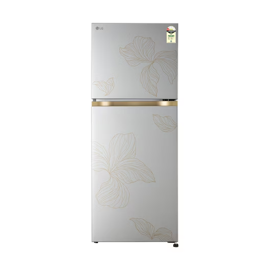 LG GLT2216WYRI 225L 1 Star Frost Free Double Door Refrigerator - Radiant Inox