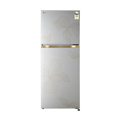 LG GLT2216WYRI 225L 1 Star Frost Free Double Door Refrigerator - Radiant Inox