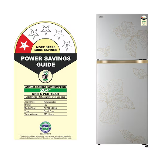 LG GLT2216WYRI 225L 1 Star Frost Free Double Door Refrigerator - Radiant Inox