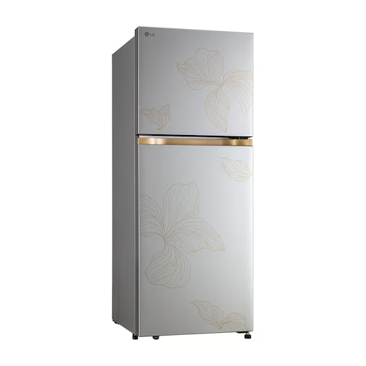 LG GLT2216WYRI 225L 1 Star Frost Free Double Door Refrigerator - Radiant Inox