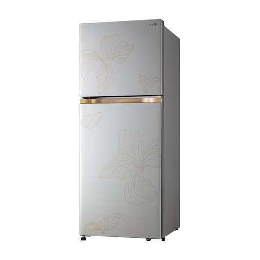 LG GLT2216WYRI 225L 1 Star Frost Free Double Door Refrigerator - Radiant Inox