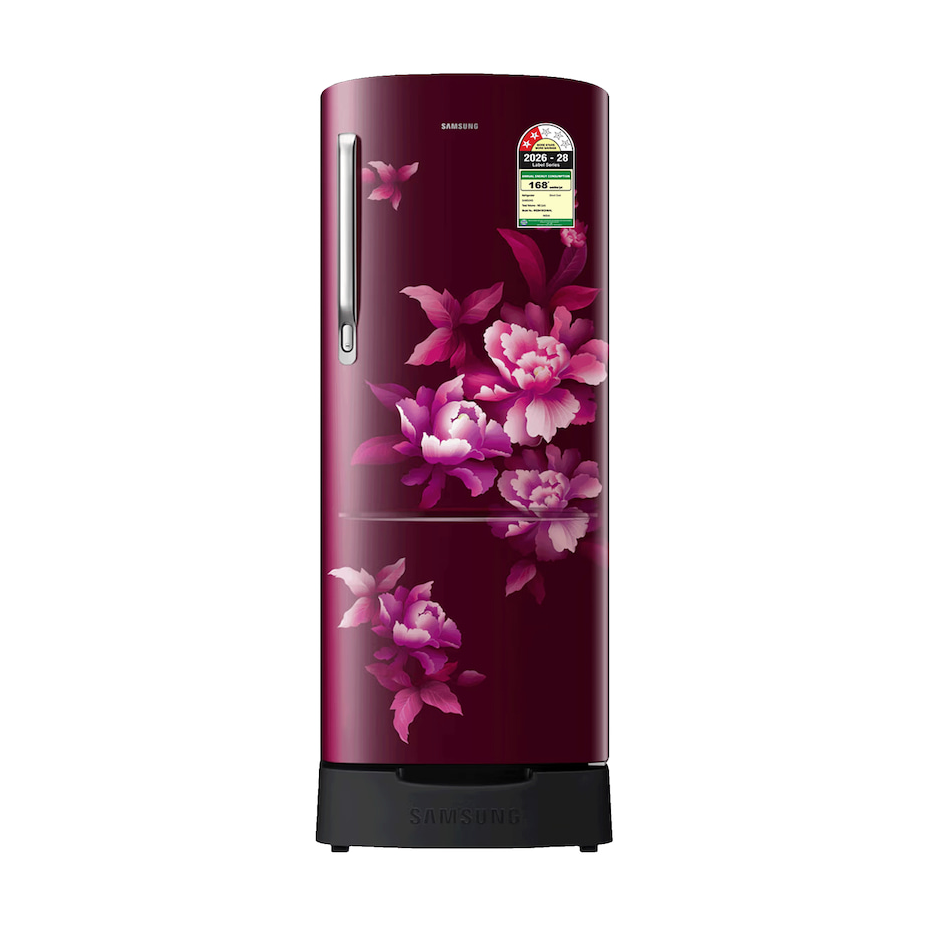Samsung 183 L 2 Star Single Door Refrigerator – RR20H1812HN