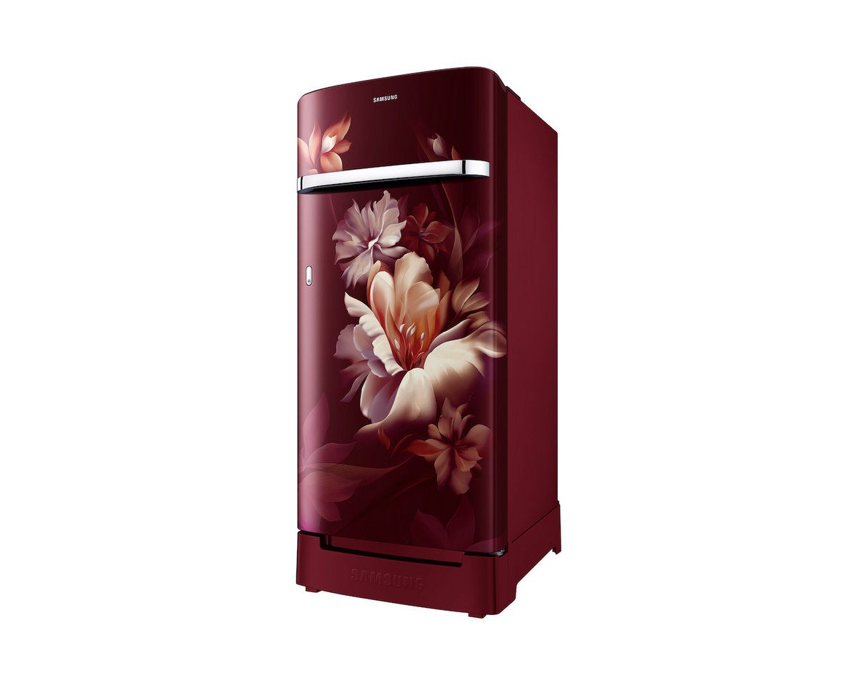 Samsung 189 L Single Door Refrigerator RR21H2H24RZ (2026 Model) | 4 Star
