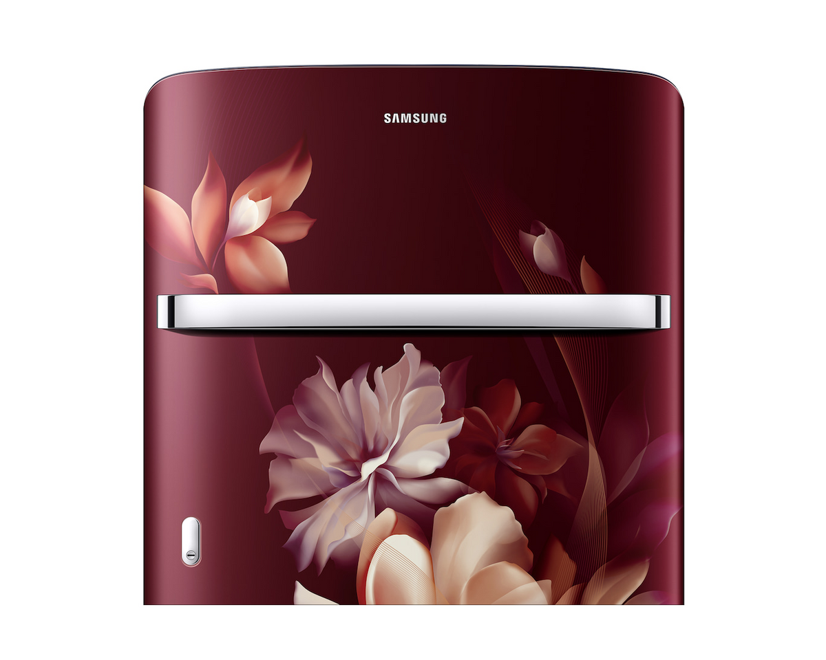 Samsung 189 L Single Door Refrigerator RR21H2H24RZ (2026 Model) | 4 Star